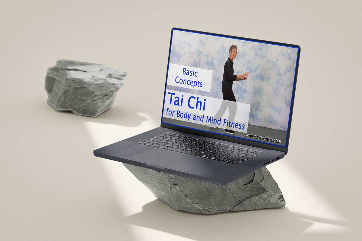 Tai Chi On-Demand Video Course 1 tai chi on-demand video course